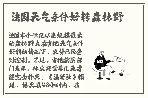 青丝影院视频在线播放